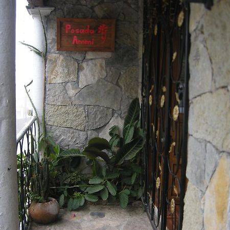 Cuetzalán del Progreso Posada Ammi מראה חיצוני תמונה